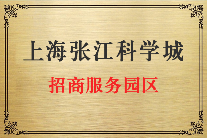 上海浦东注册集中登记地地址