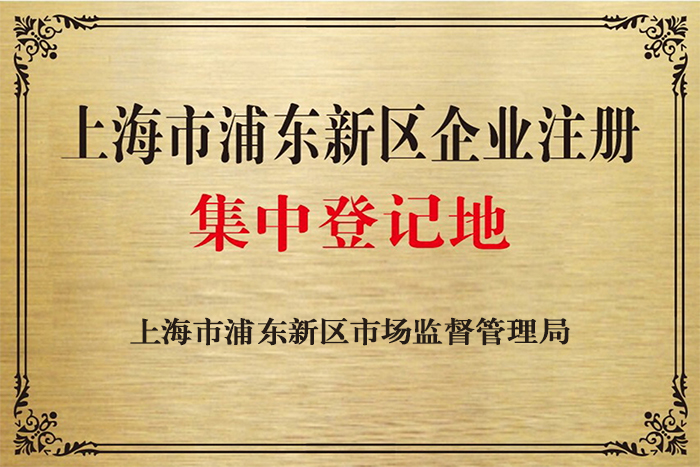 上海浦东公司注册集中登记地