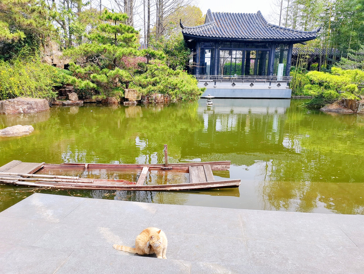 上海浦东新区注册公司流程