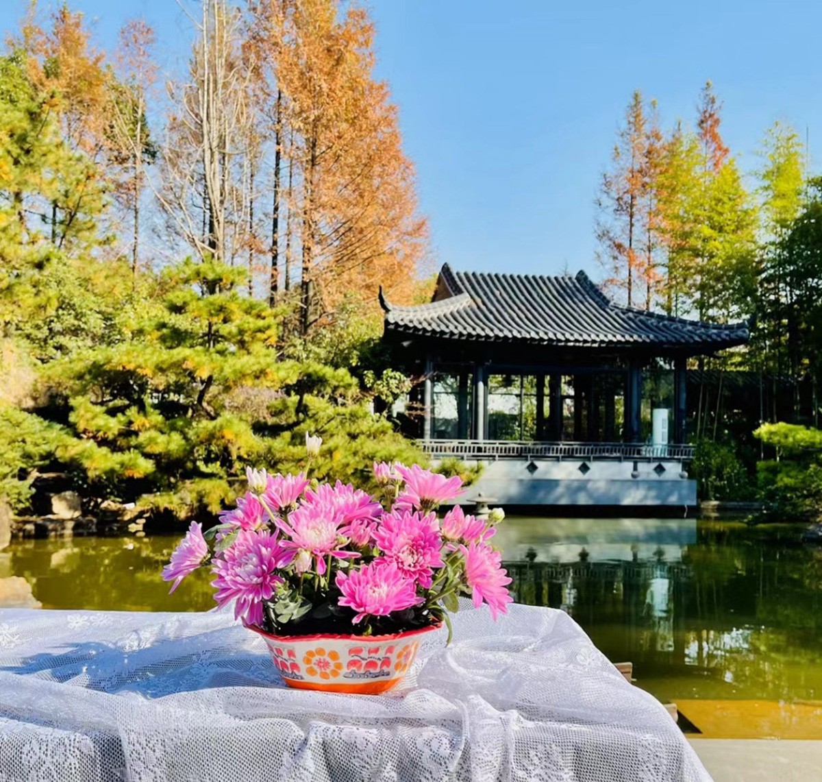 上海园区注册地址免费代理